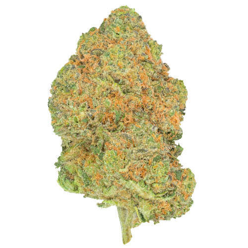 Bud